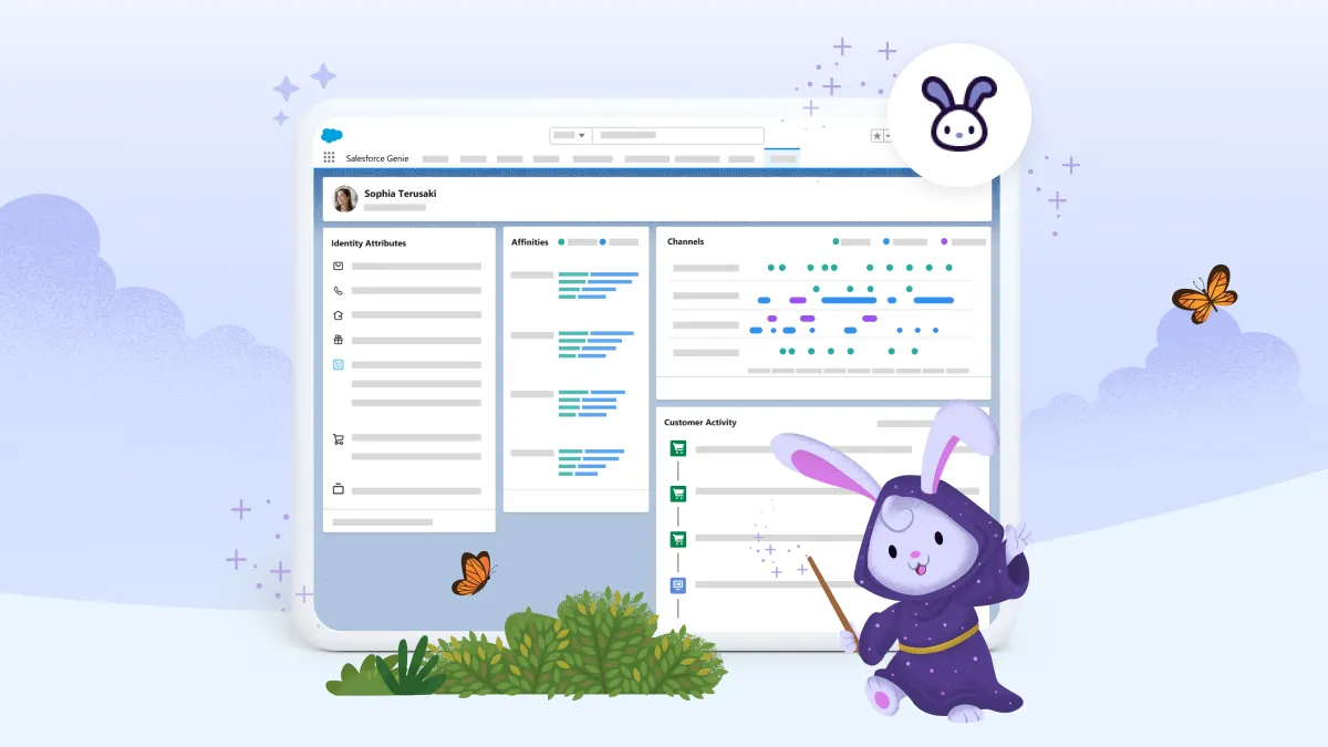 Salesforce genie